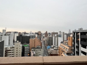 現地からの眺望