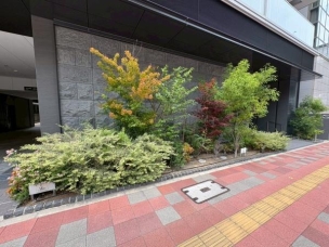 木々や花々の演出が華やかさを彩ります!! その他現地