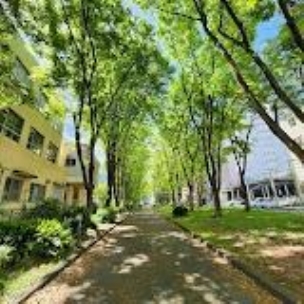 【公園】葉場公園 411m 周辺環境